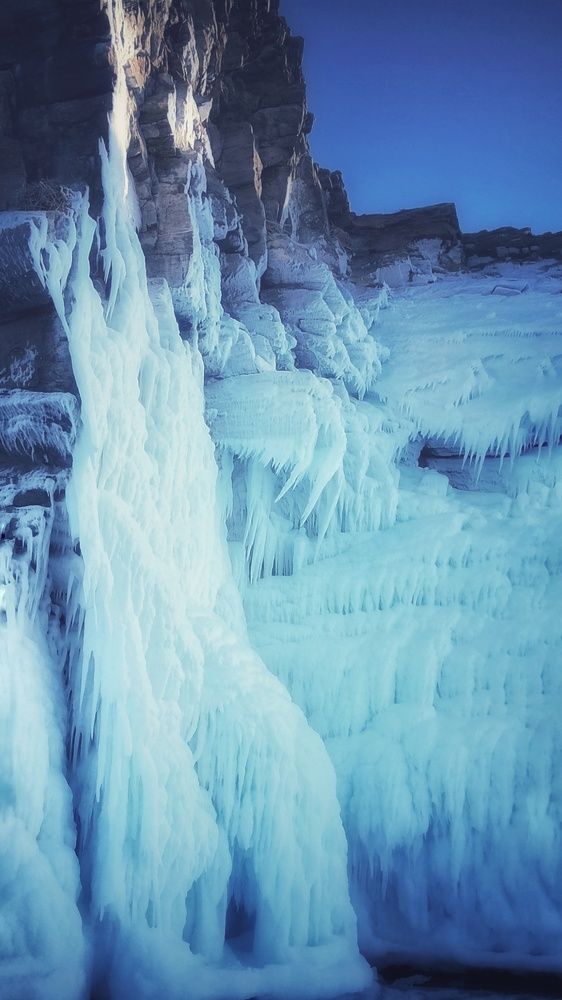 Крылья, ноги....