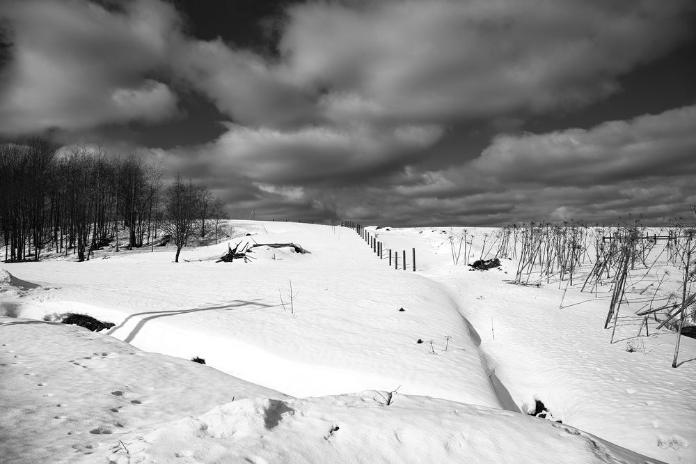 Photograph by Безногов Денис