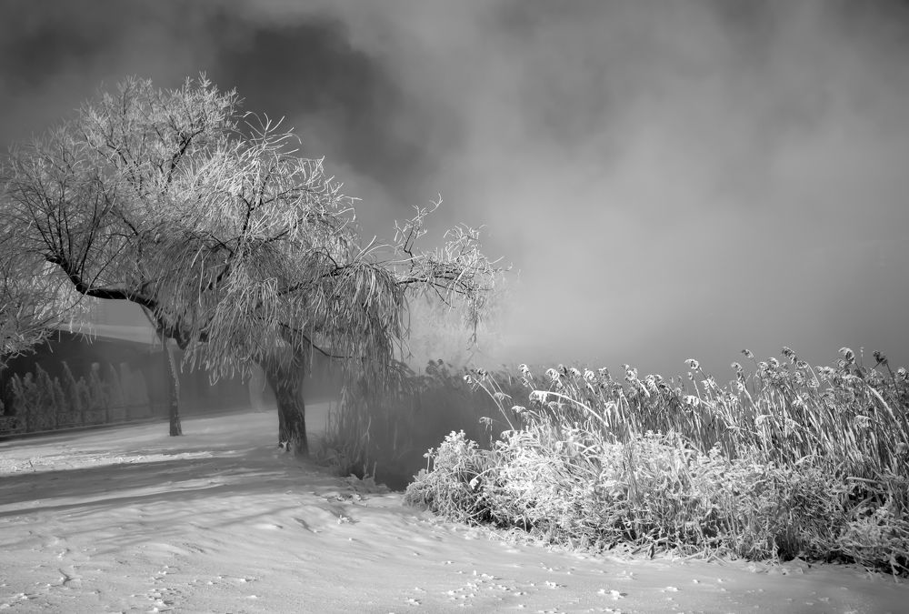 Холодное утро