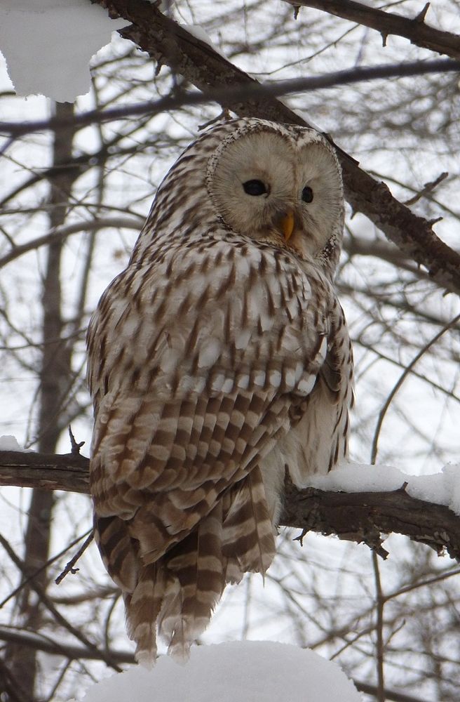 Photograph by Владислав Завальнюк