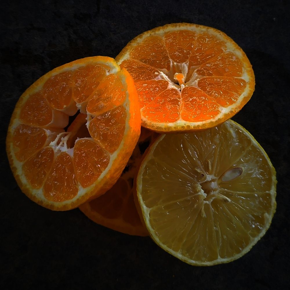Photograph by Елена Павлова