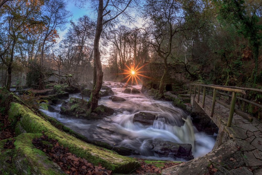 Photograph by Damian Varela