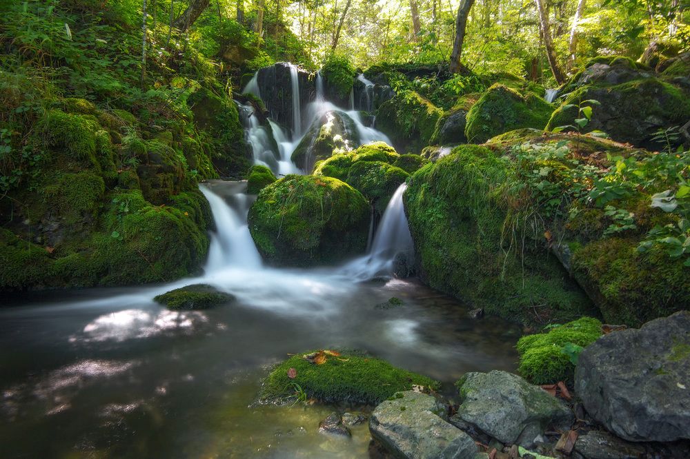 Photograph by Александр Кузнецов