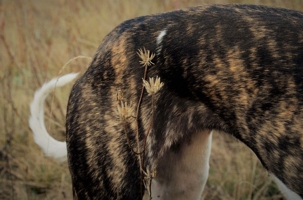 Слияние с природой