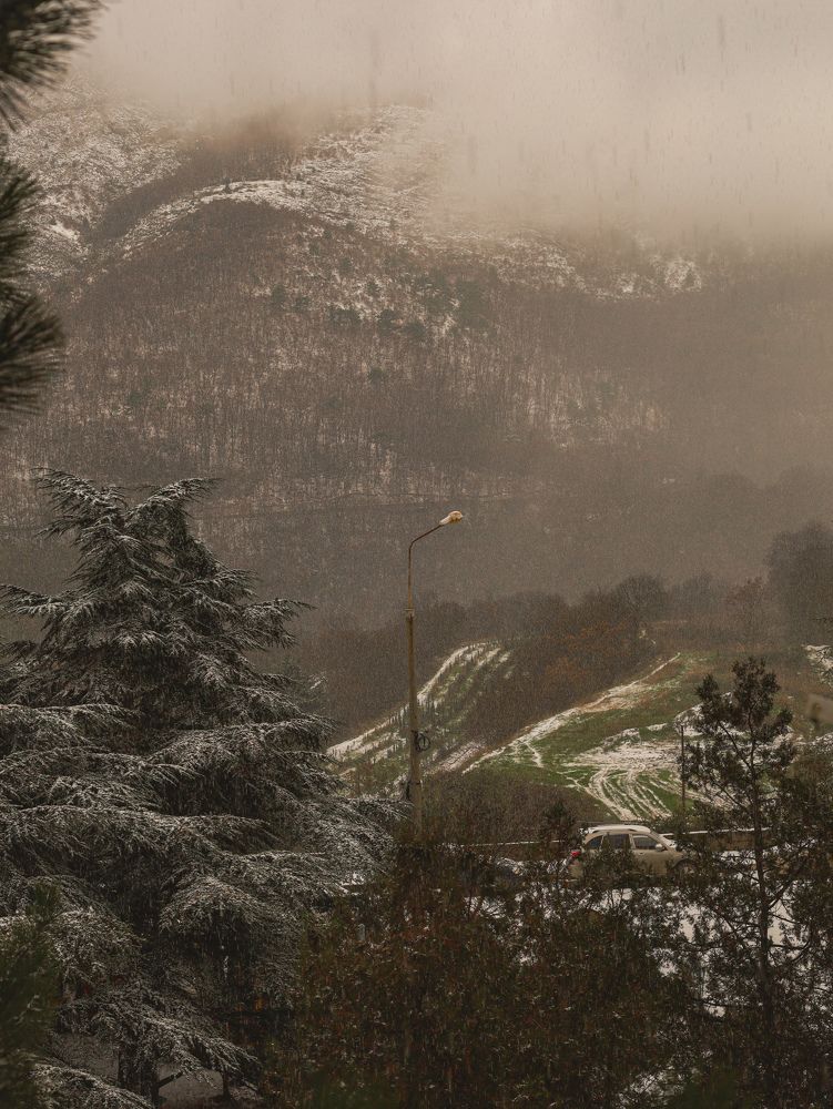 Photograph by Nadezhda Stoliarova