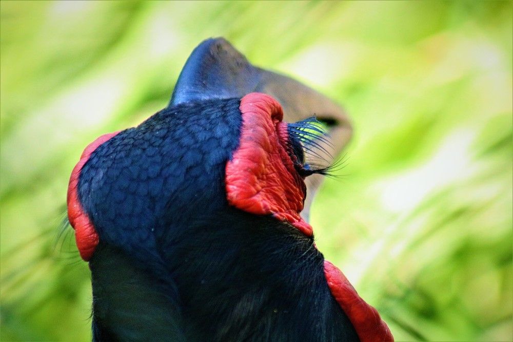 Photograph by Esmaeil Razaghi