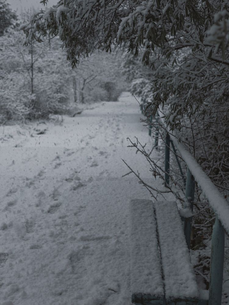 Photograph by Nadezhda Stoliarova