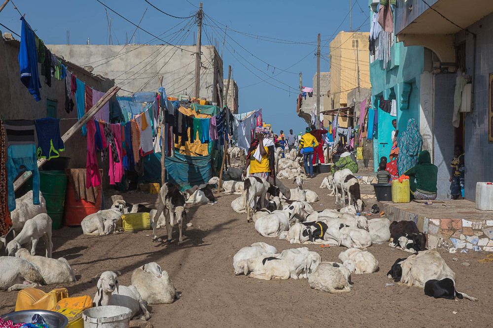 Photograph by Марина Маликова