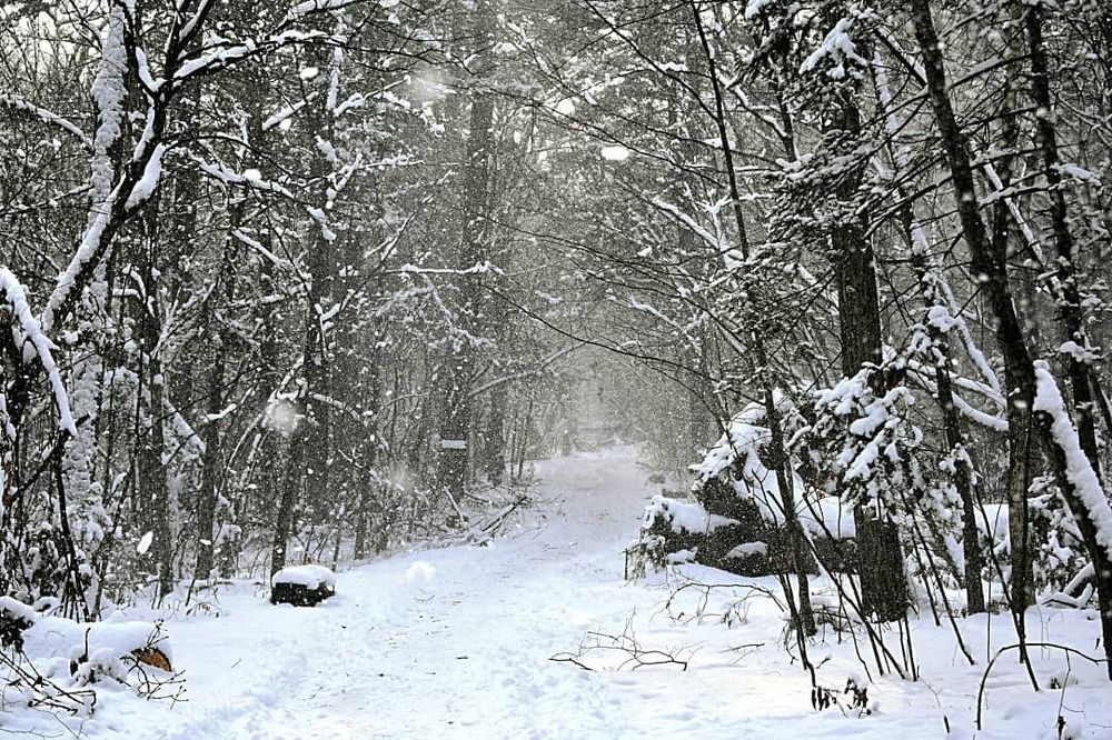 Photograph by Светлана Титова