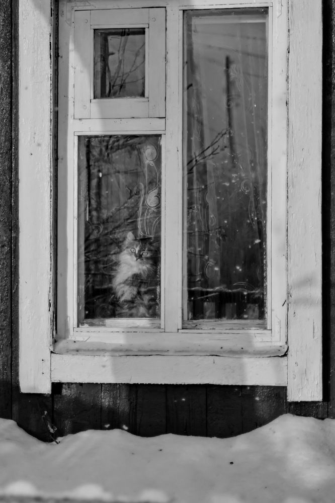 Photograph by Andrey