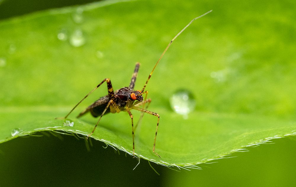 После дождя