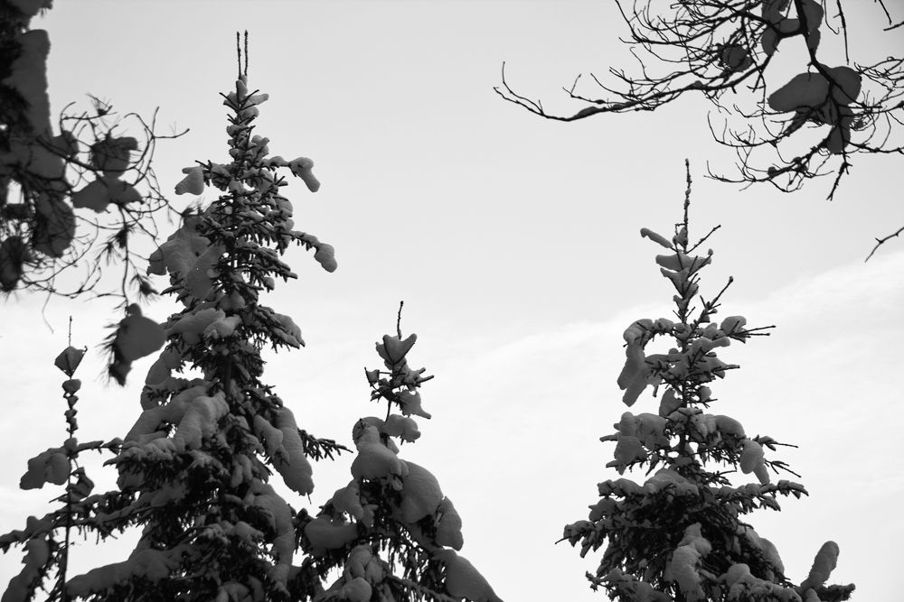 Photograph by Безногов Денис