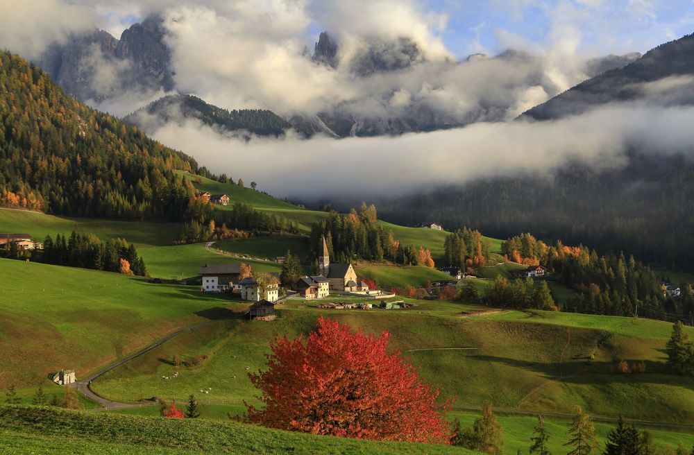 Фотография автора Милокост Алексей