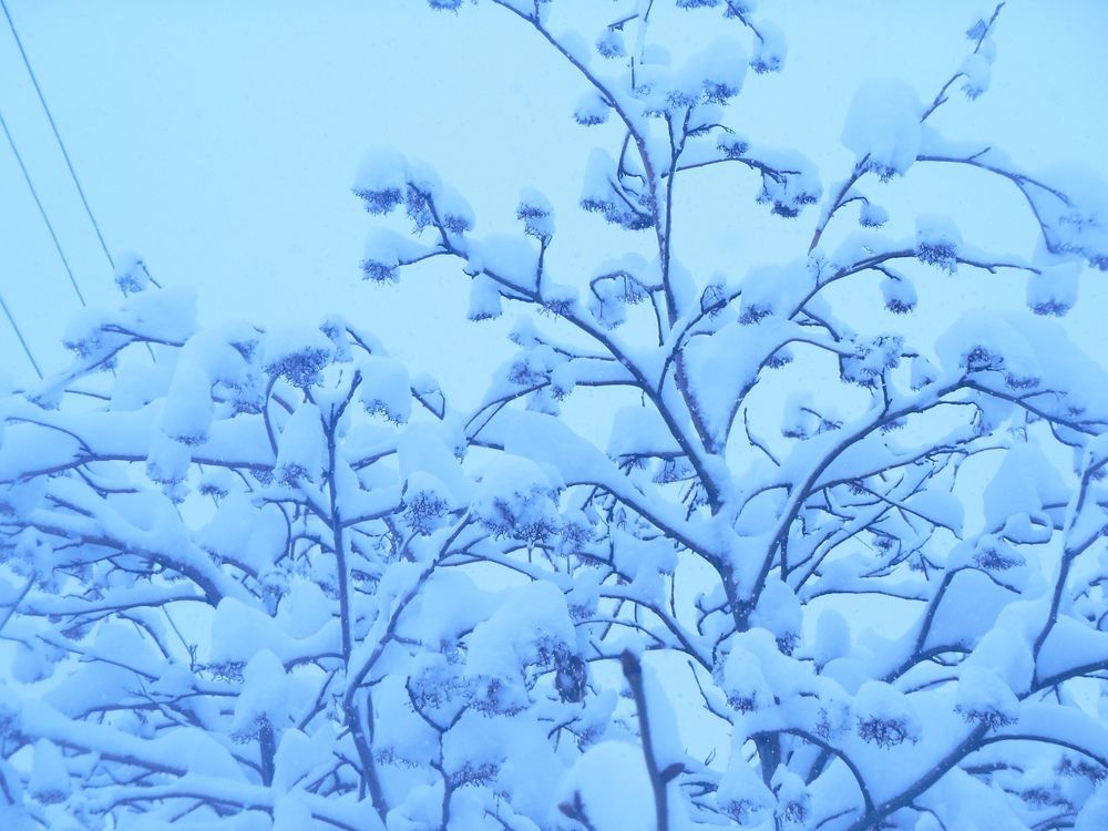 Photograph by Владимир Ложкин