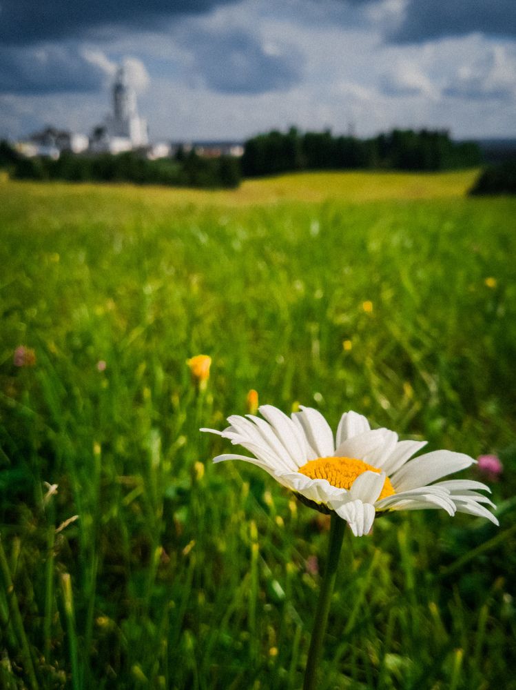 Photograph by Александр Ершов