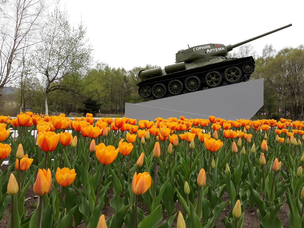 Photograph by Андрей Шахно