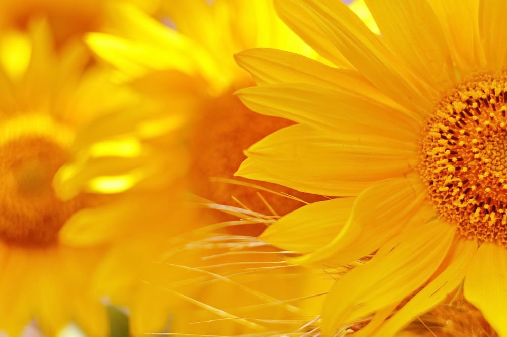 Photograph by Andrey