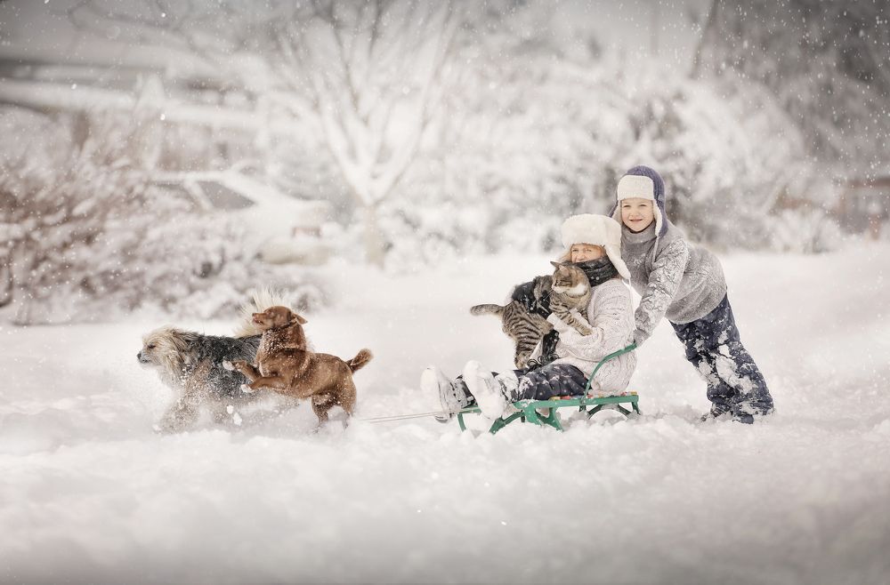 Photograph by Станкевич Анечка