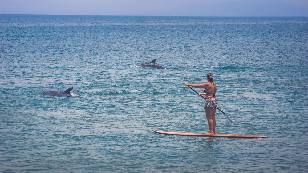 Photograph by Allan Pereira