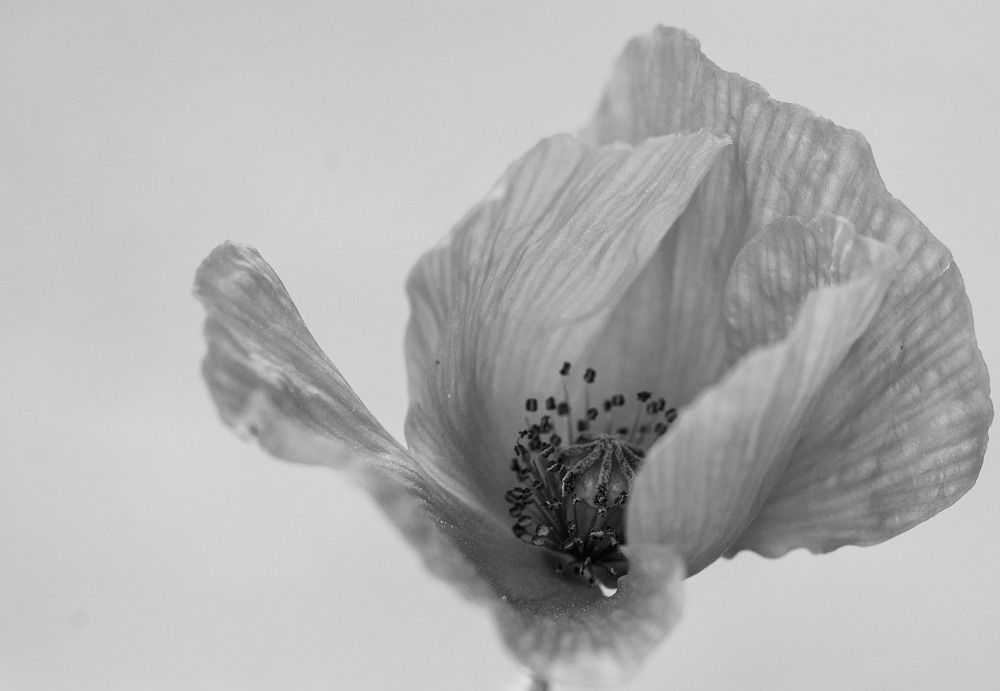 Photograph by Alexandra Matei