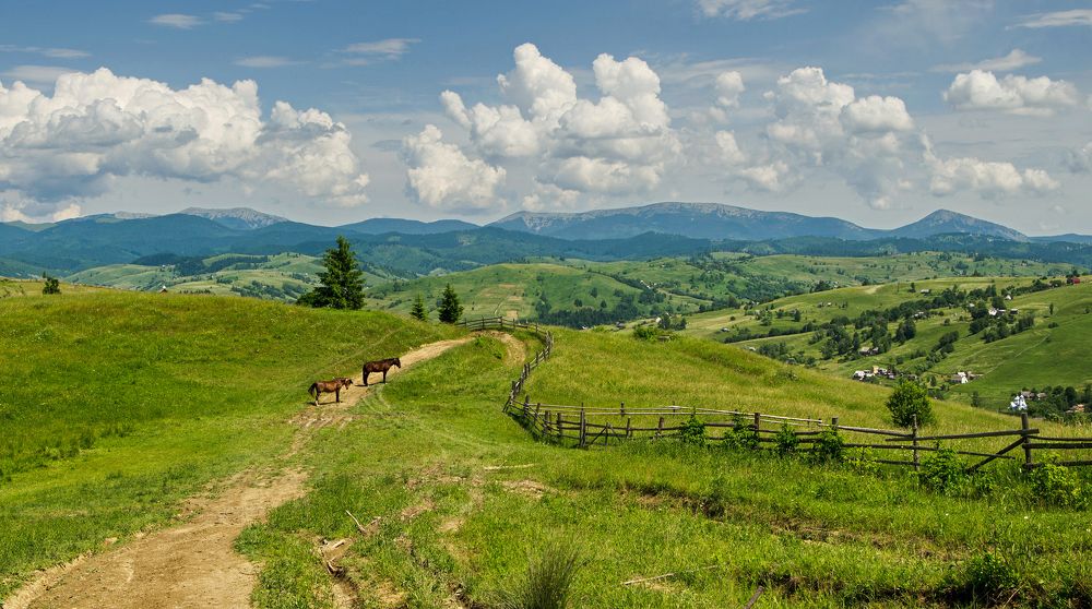 Photograph by Валерий Наумов