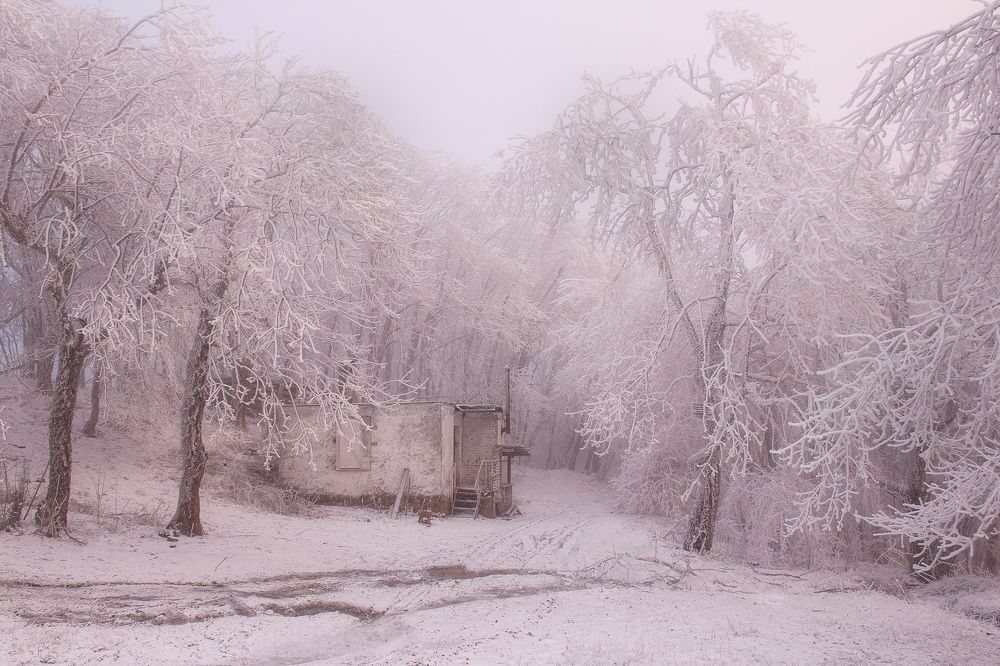 Photograph by Оксана Носкова