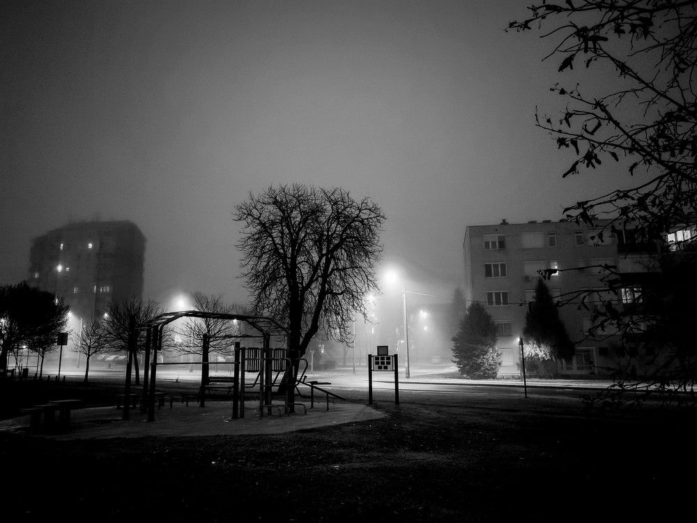 Photograph by Sandor Zoltan Gal