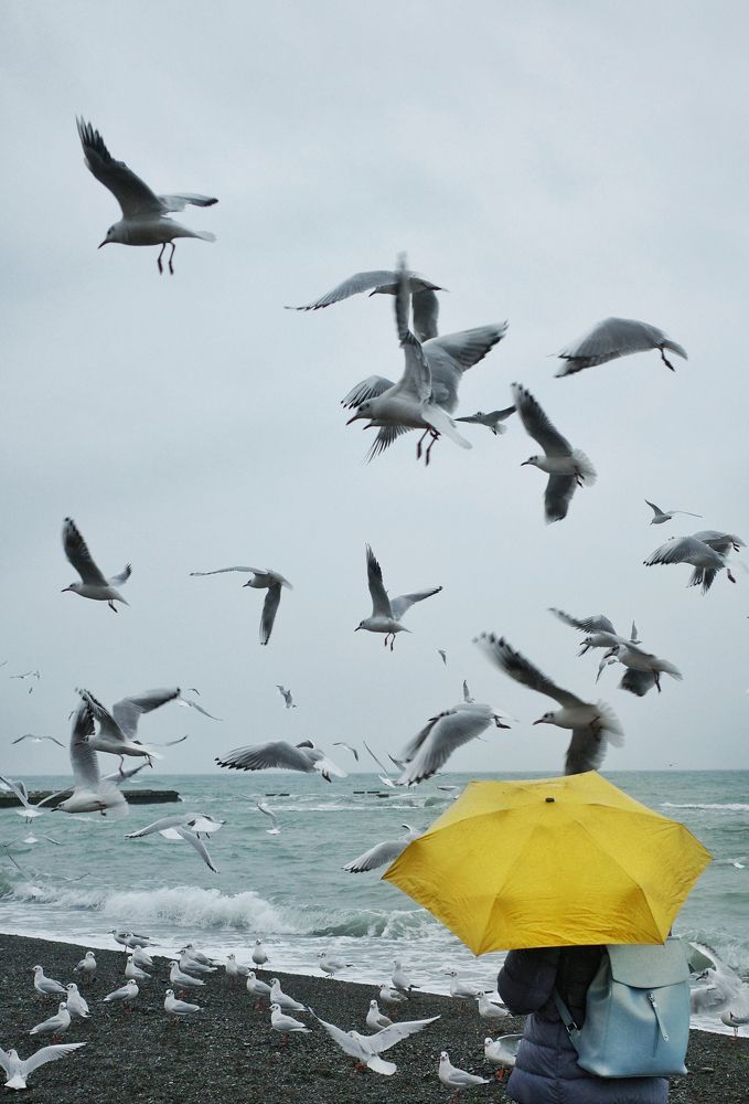 Photograph by Рита Типунина