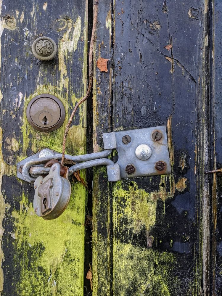 The Beauty of Details