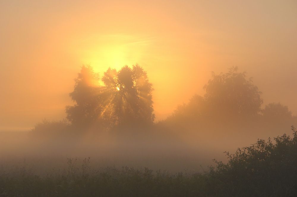 Photograph by Сергей Тарасюк