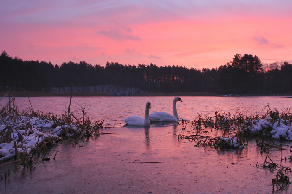Photograph by Сергей Тарасюк