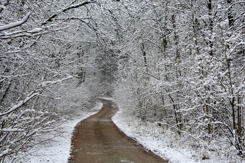 Photograph by Сергей Тарасюк