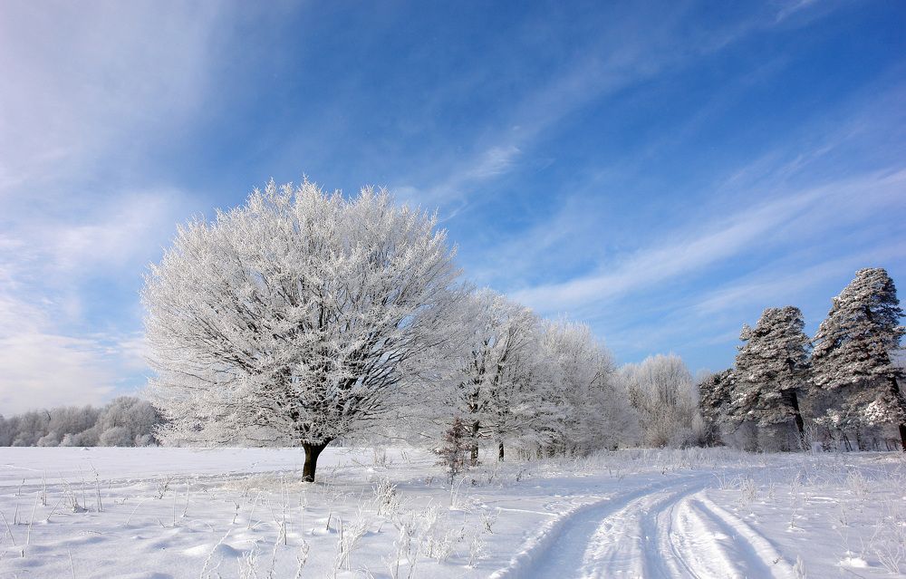 Photograph by Сергей Тарасюк