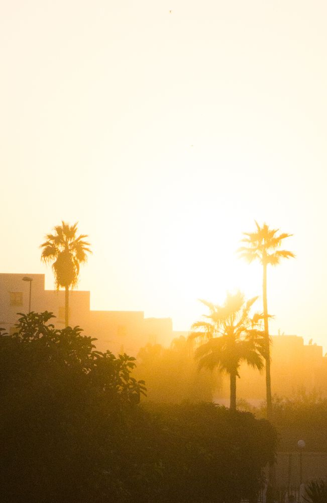 A day at Mosque Hassan 2