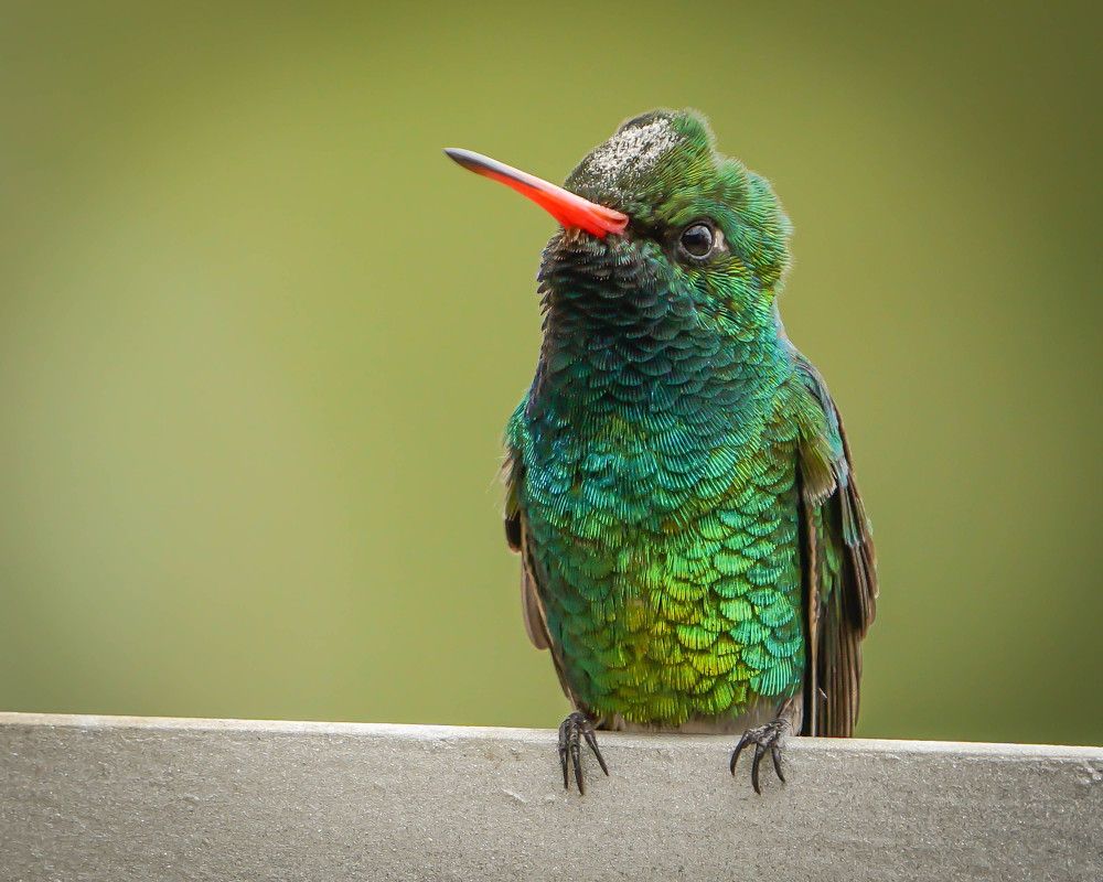 Photograph by Karina Elena Bergagna