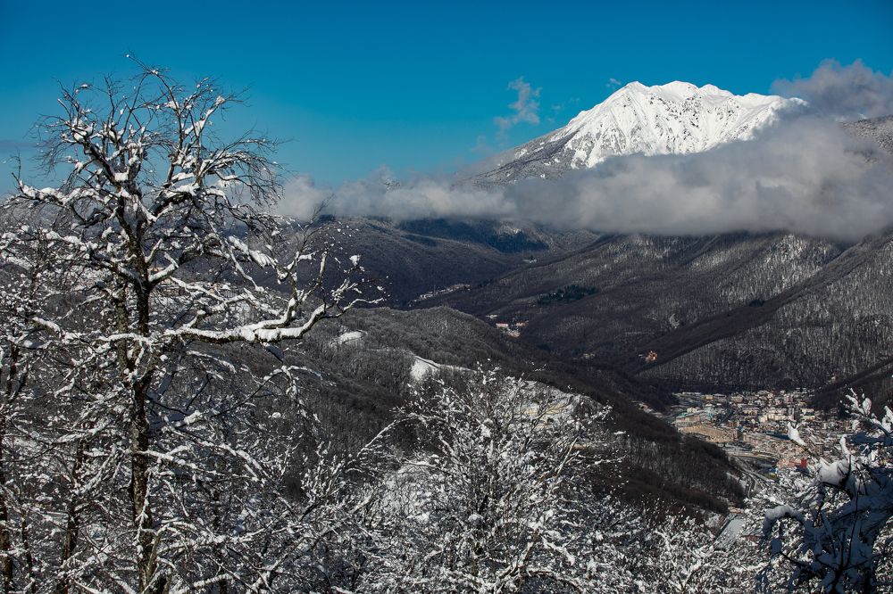 Photograph by Ольга Акимичева