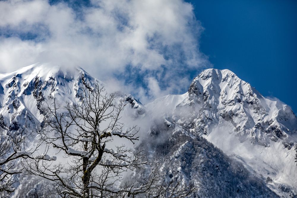 Photograph by Ольга Акимичева