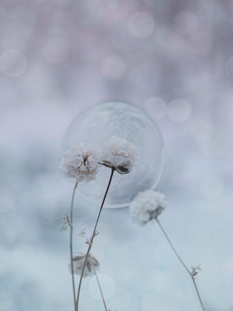 Photograph by Ирина Львова