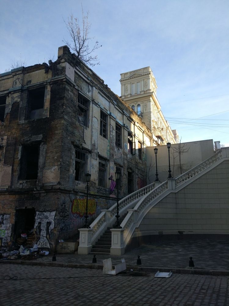 Photo #5602398