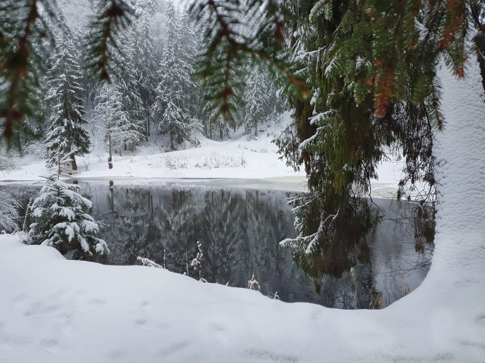 Photograph by Наталья Ерёменко