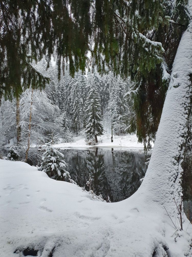 Photograph by Наталья Ерёменко