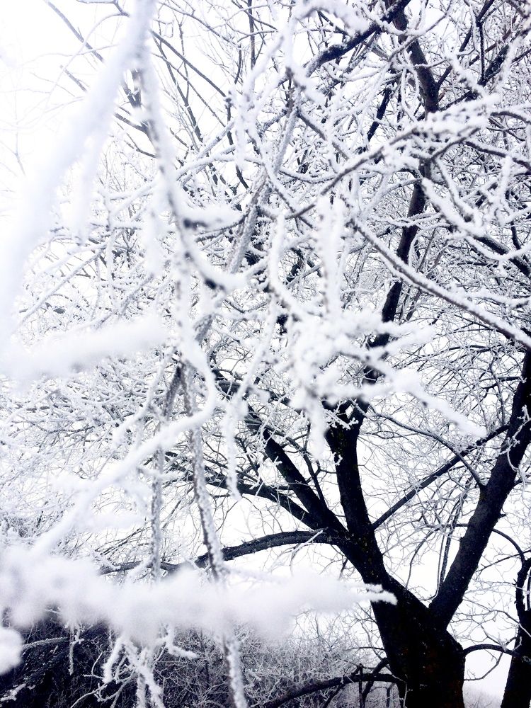 Photograph by Екатерина Острикова