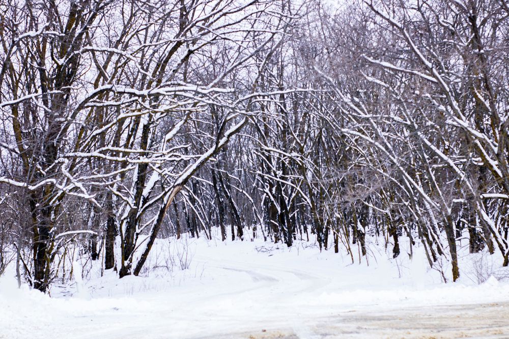 Photograph by Екатерина Острикова