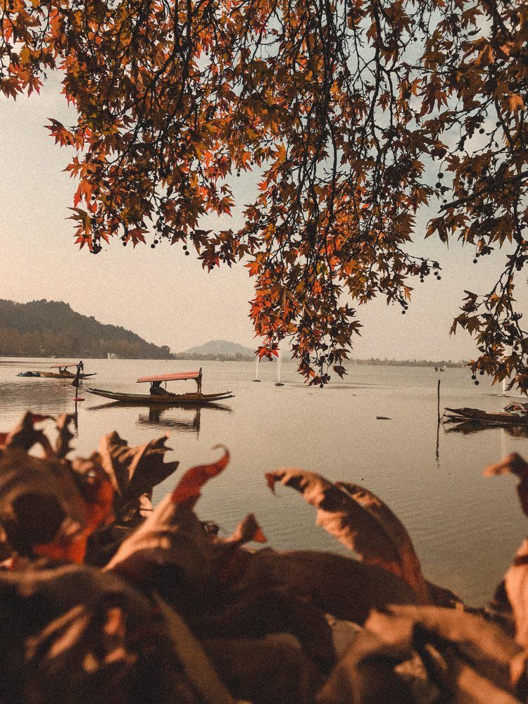 Photograph by Bazil Hamdani