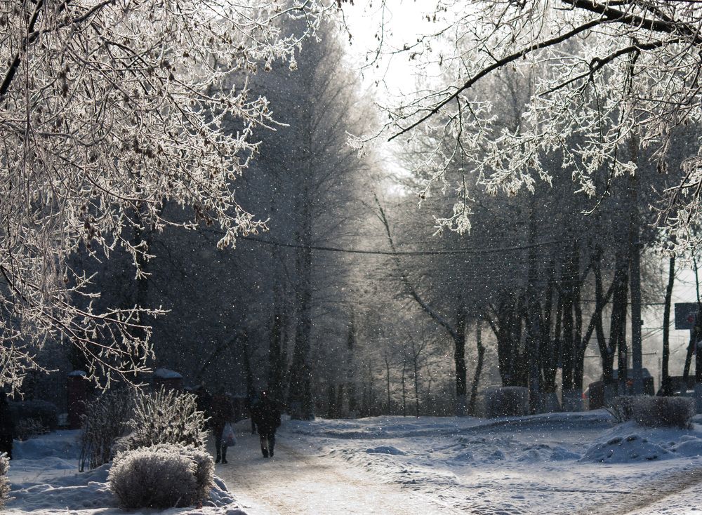 Photograph by Анна Козинова