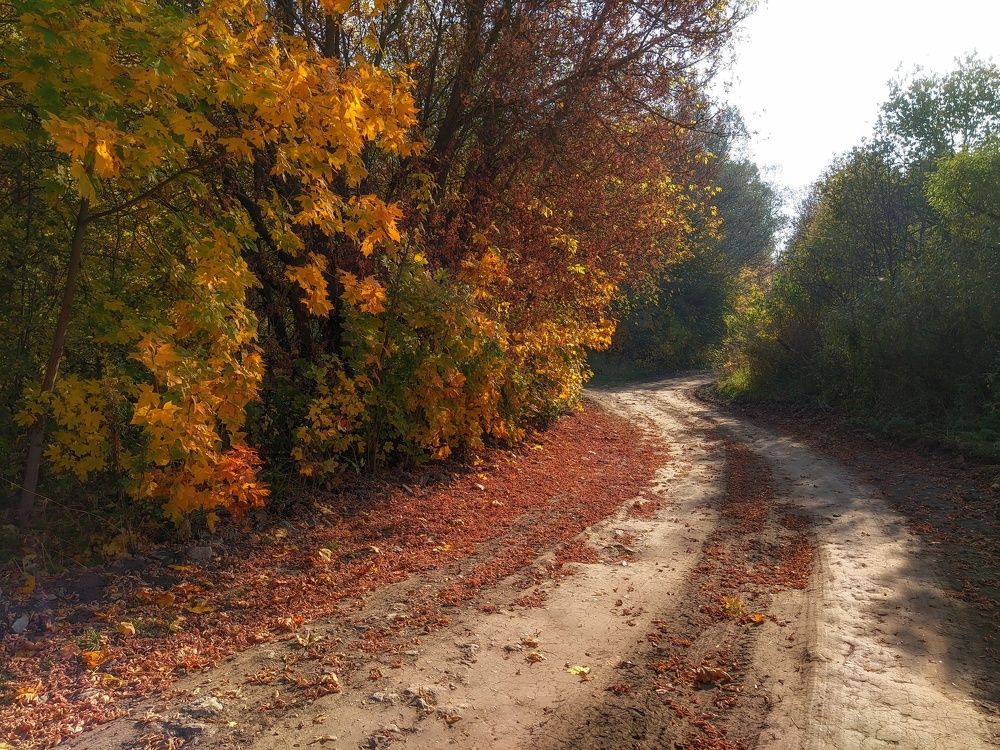 Photograph by Светлана Кондрашова