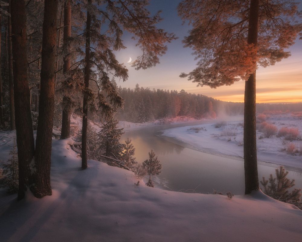 Фотография автора Дмитрий Медянцев