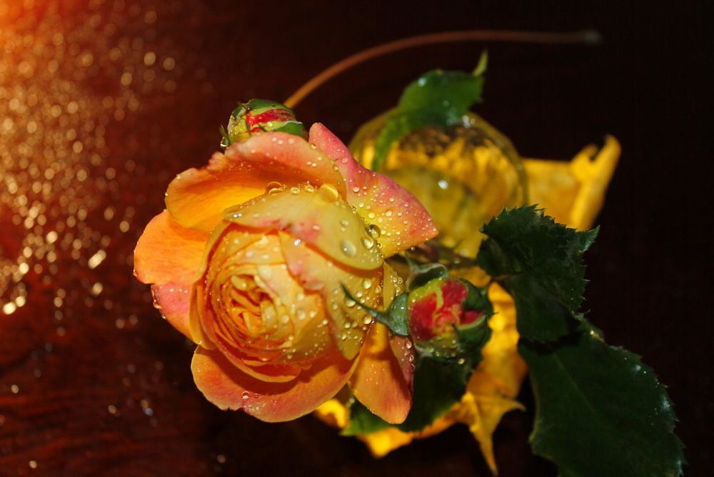 Устремление