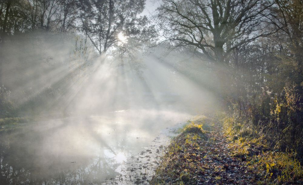 Photograph by Владимир Петрукович