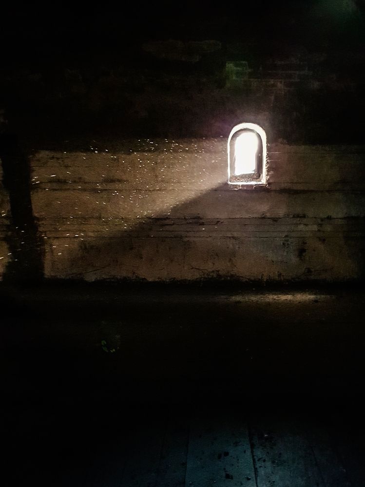 Photograph by Фирдаус Карипова